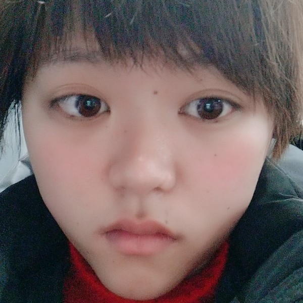 傻傻小猫咪的照片