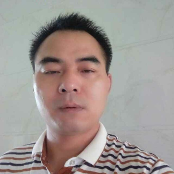 粗心大雁的照片