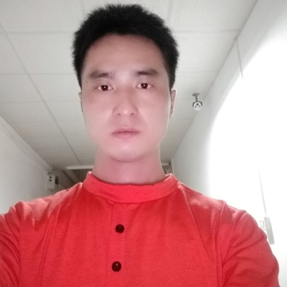 红玫瑰说热情的照片