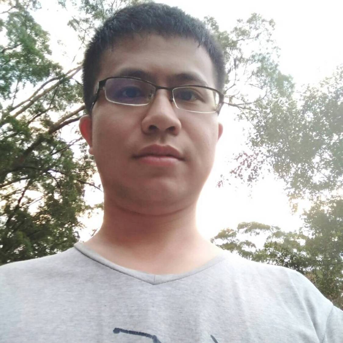羽毛苦恋典雅的照片