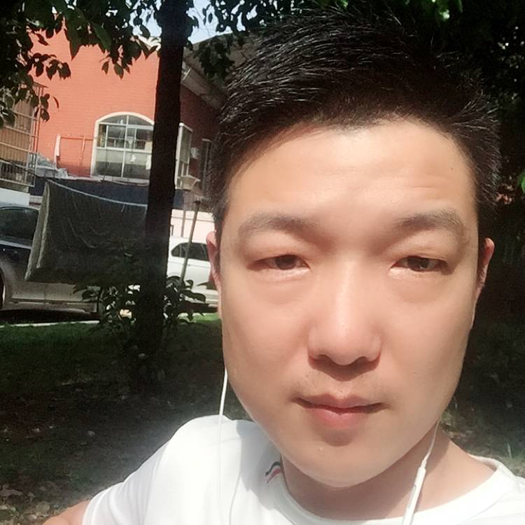 狼孤独的照片