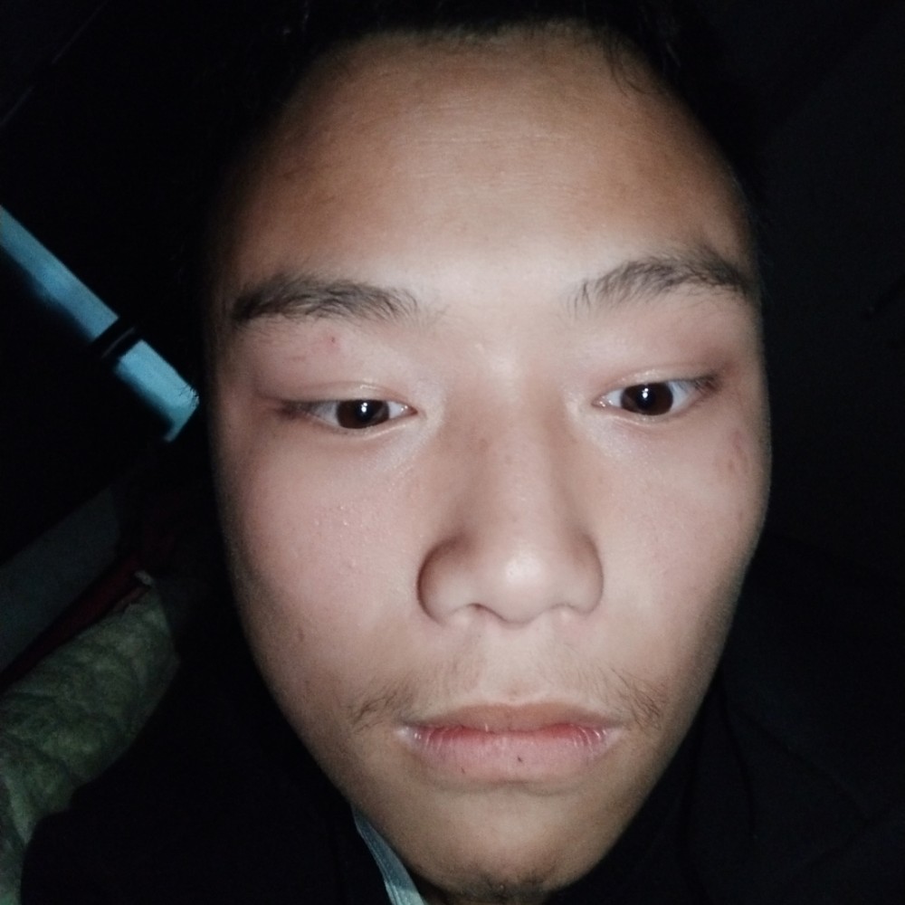 明媚刺猬的照片