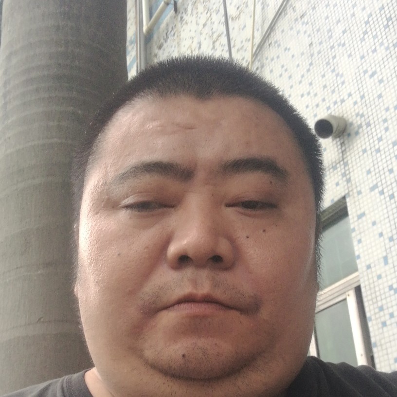 老迟到鼠的照片