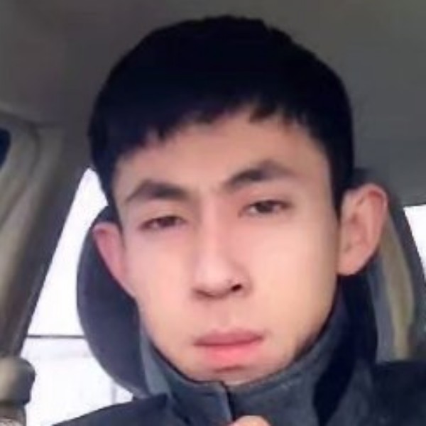 翅膀追寻的照片