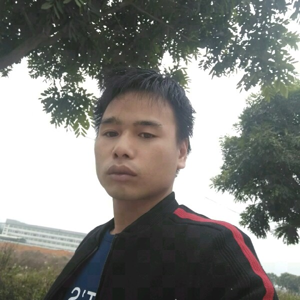 欣喜羽毛的照片