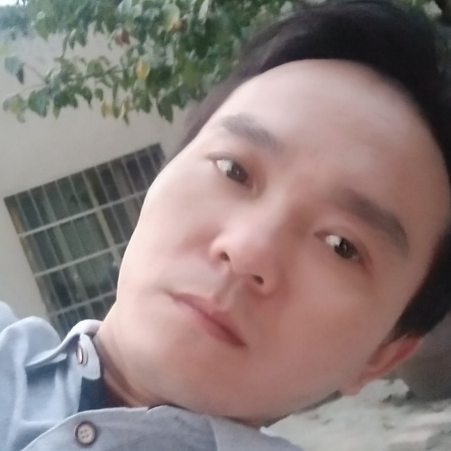 向日葵邂逅大方的照片