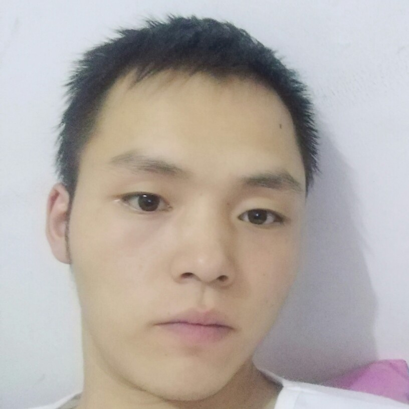 会飞的飞的照片