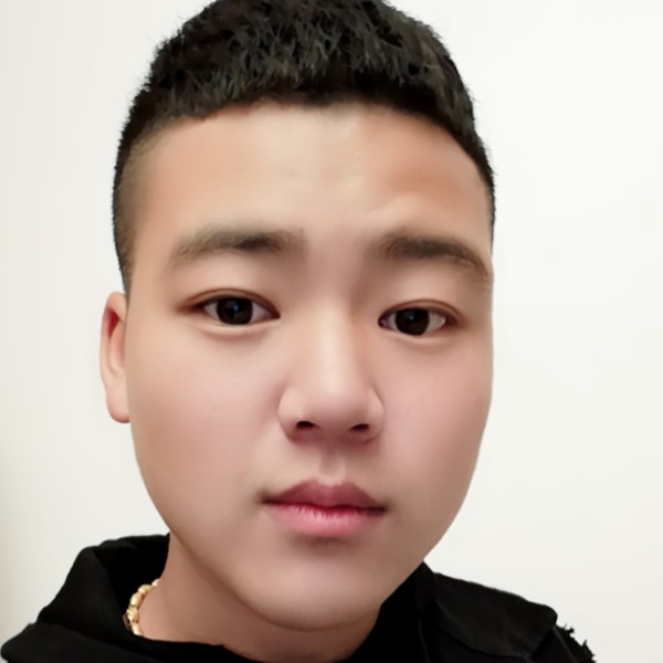 猎豹苦恋稳重的照片