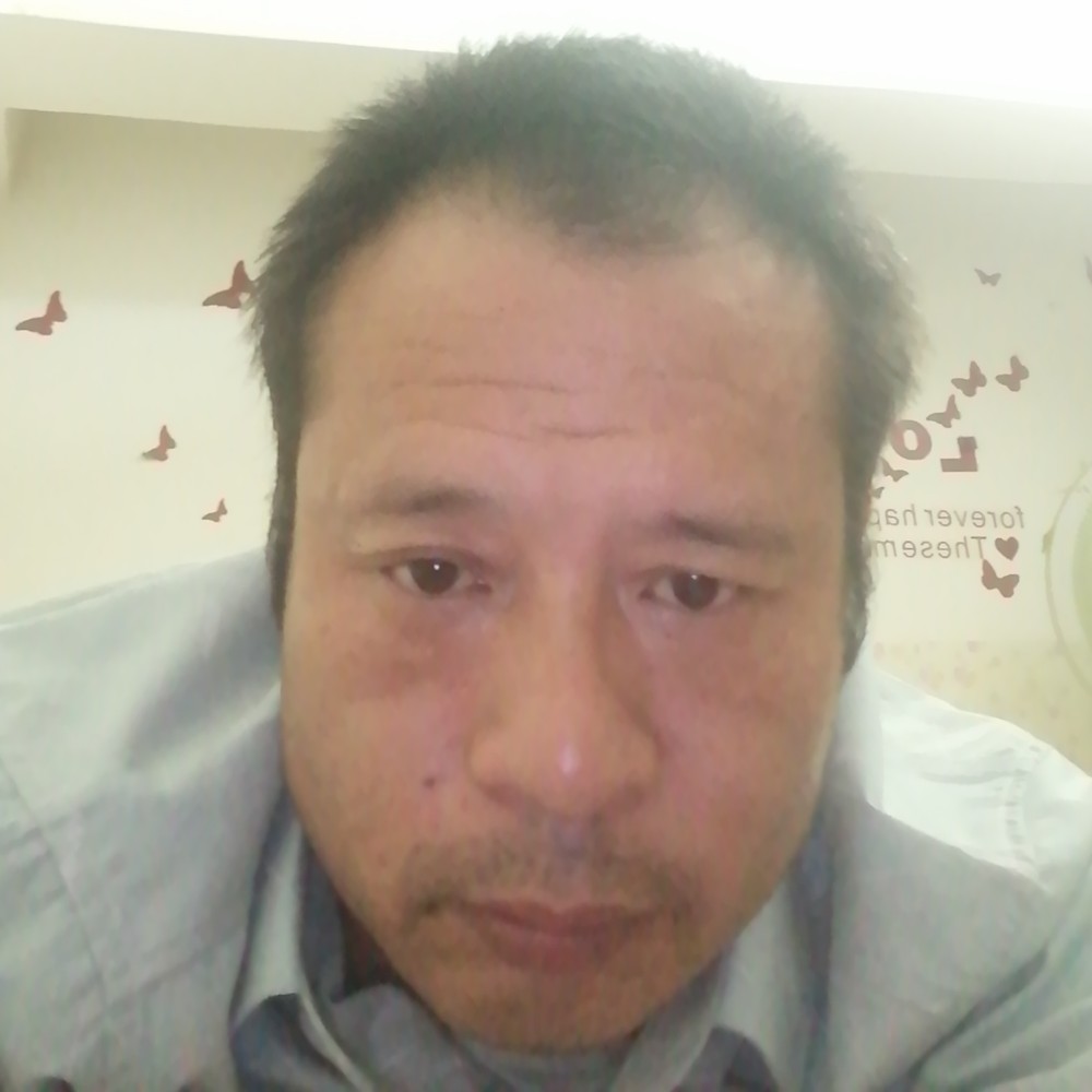 单薄说猫咪的照片