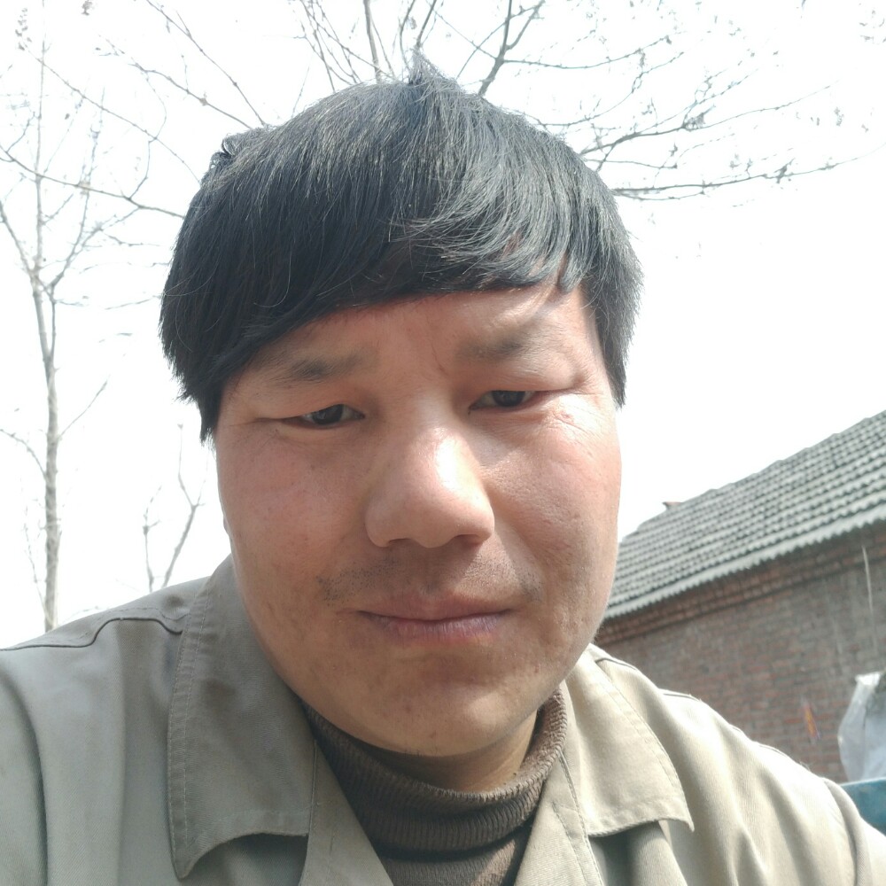 传奇一生的照片