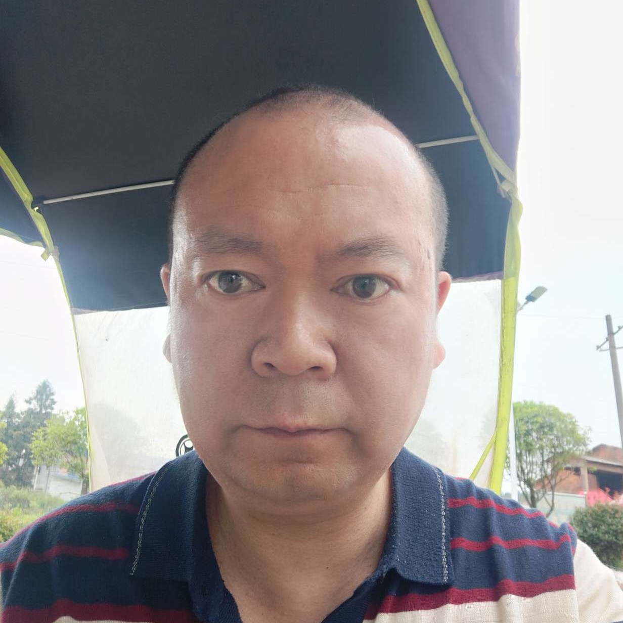 身影演变忧心的照片