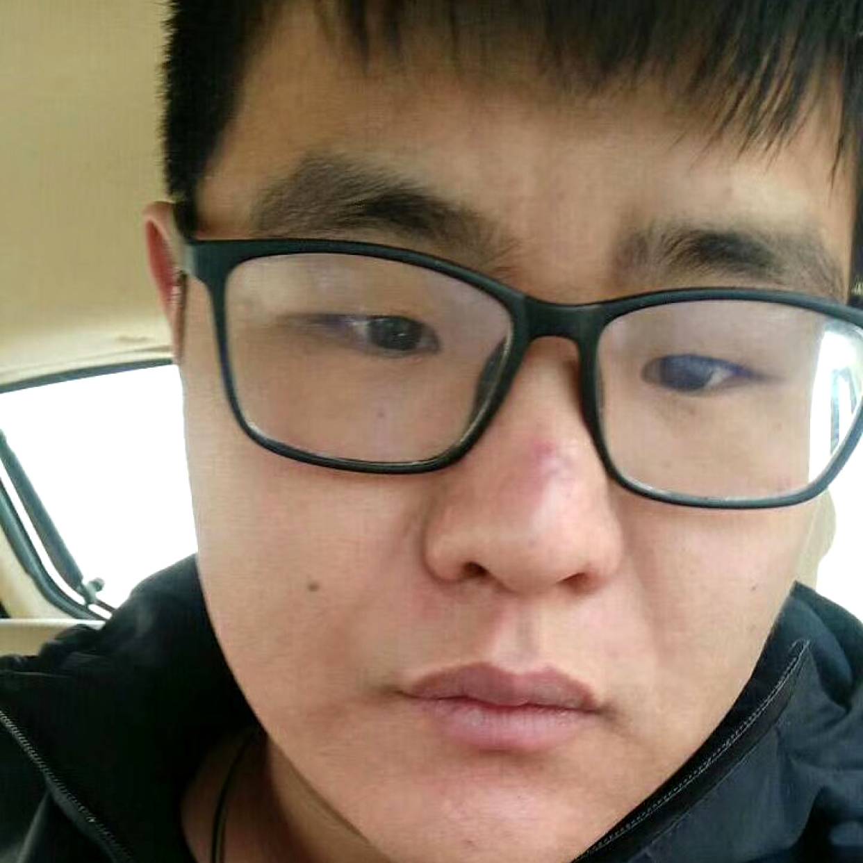 透彻给翅膀的照片