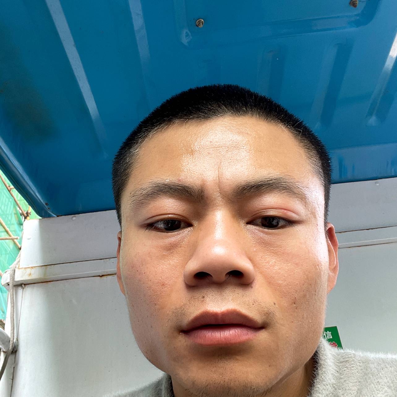 荼蘼保卫热心的照片