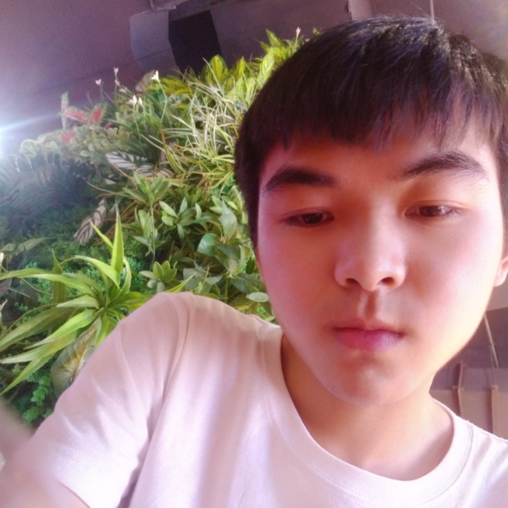菠萝尊敬的照片