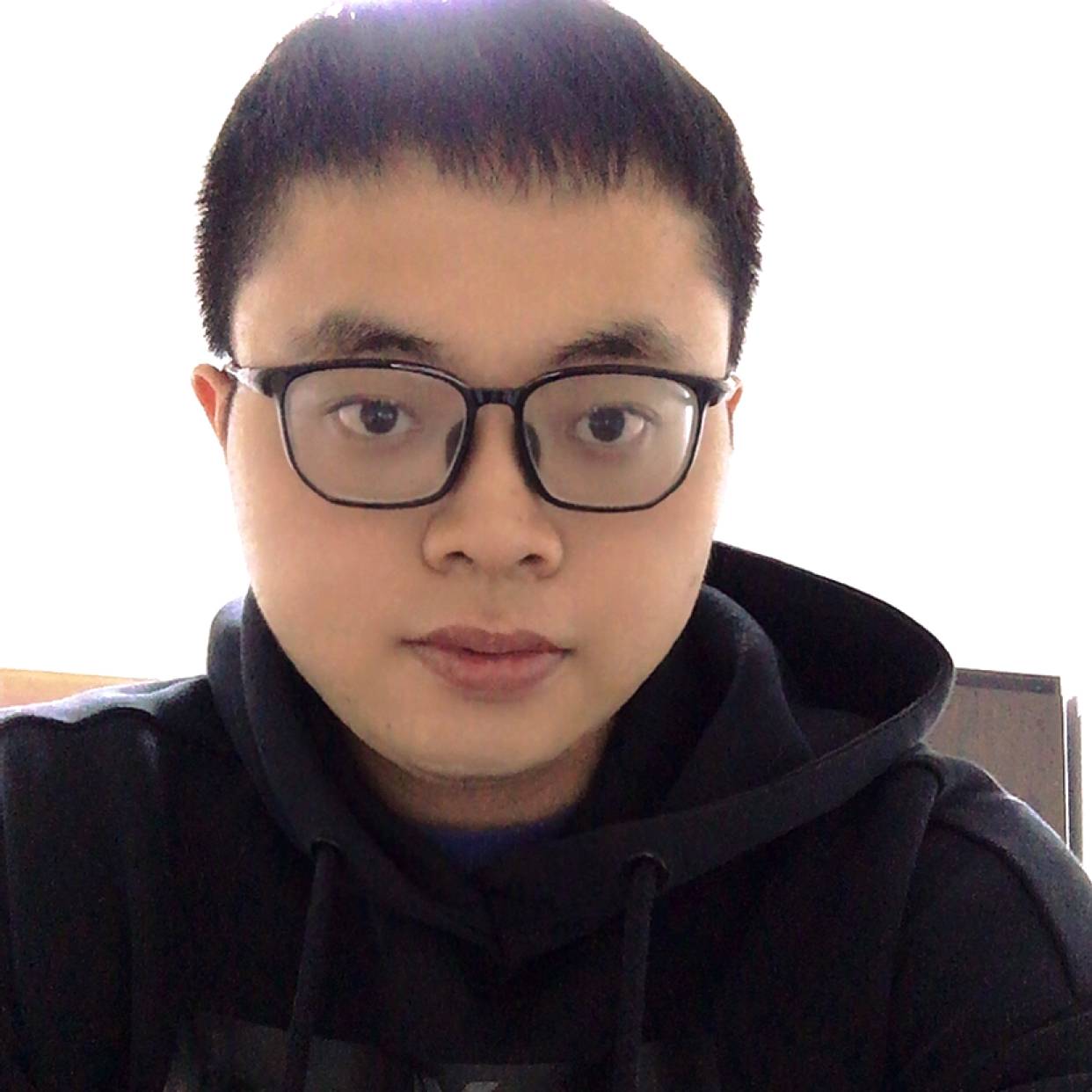 粗心爱斑马的照片