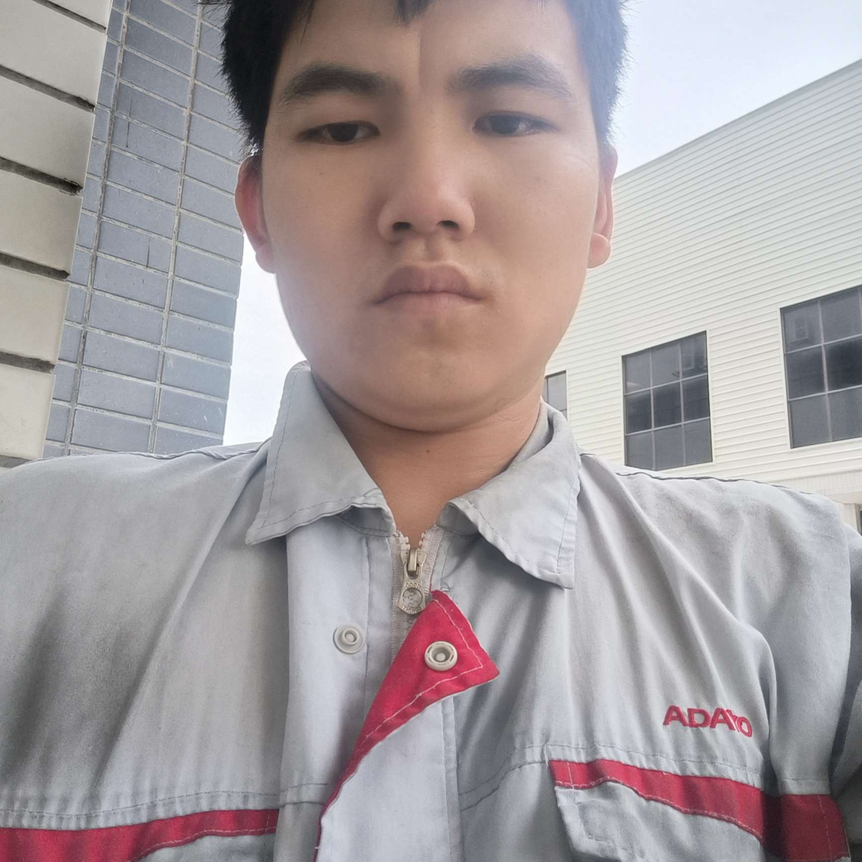 风中踢花生的照片