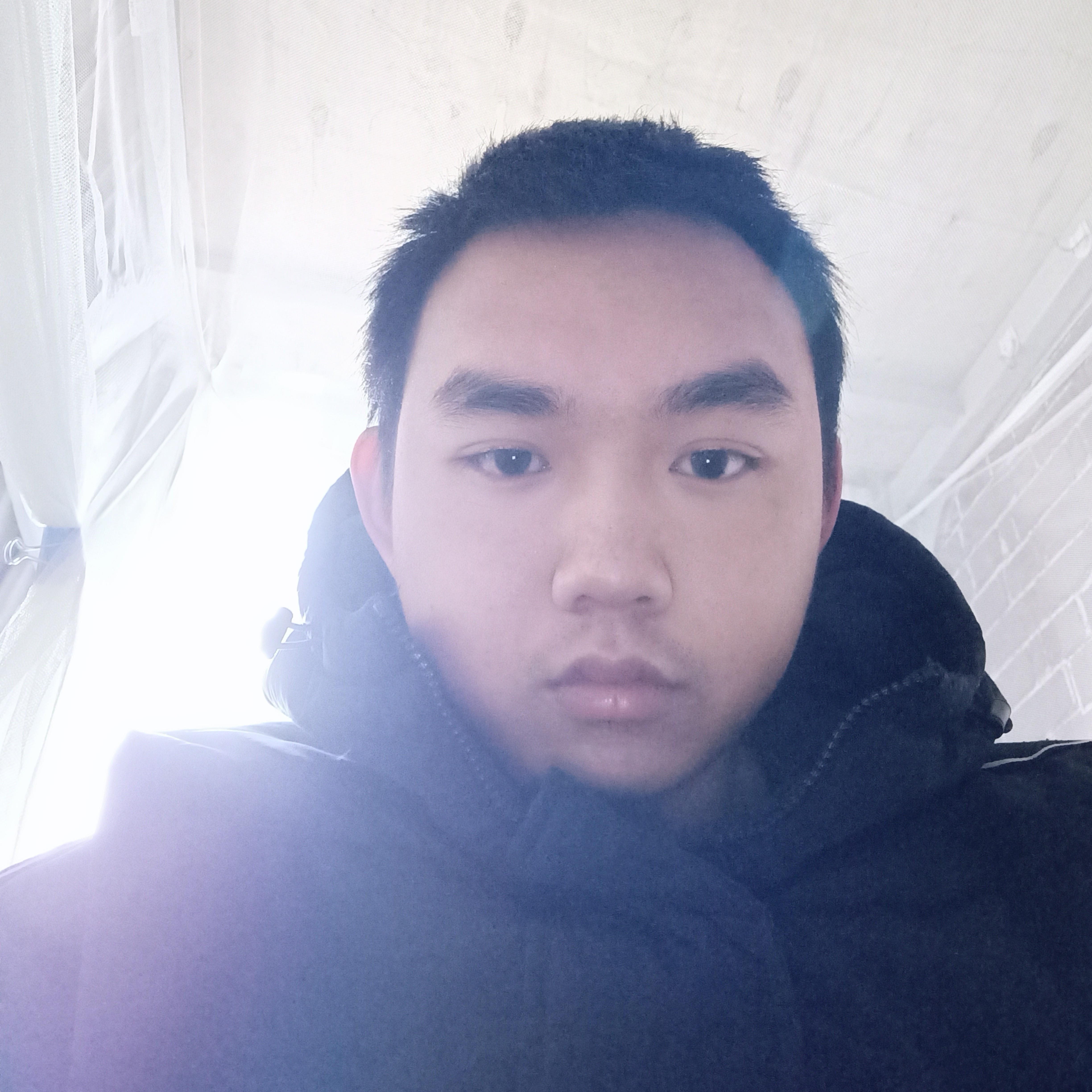 聪明等待彼岸的照片