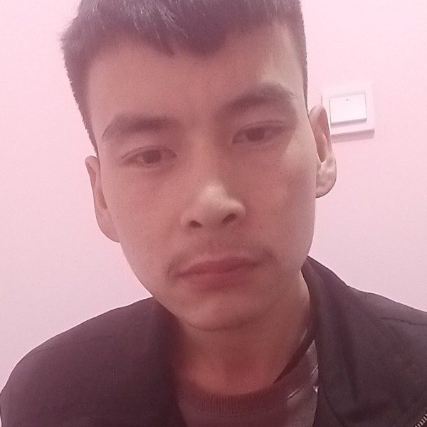 如果我还活着的照片