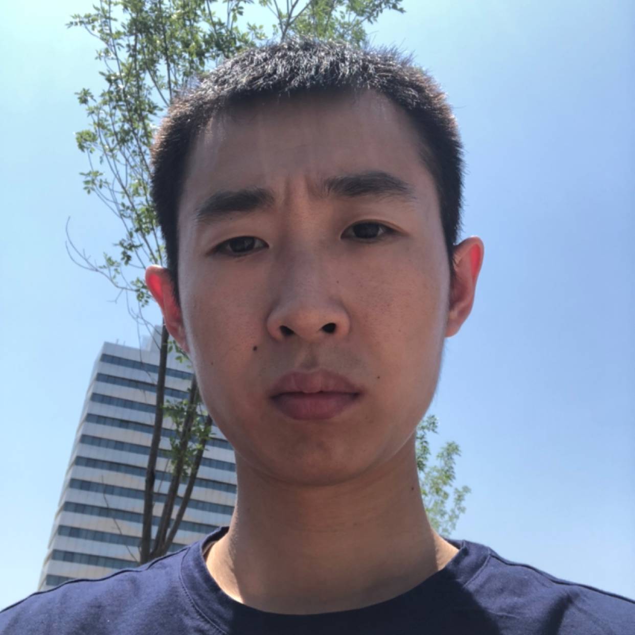 路灯演变忧心的照片