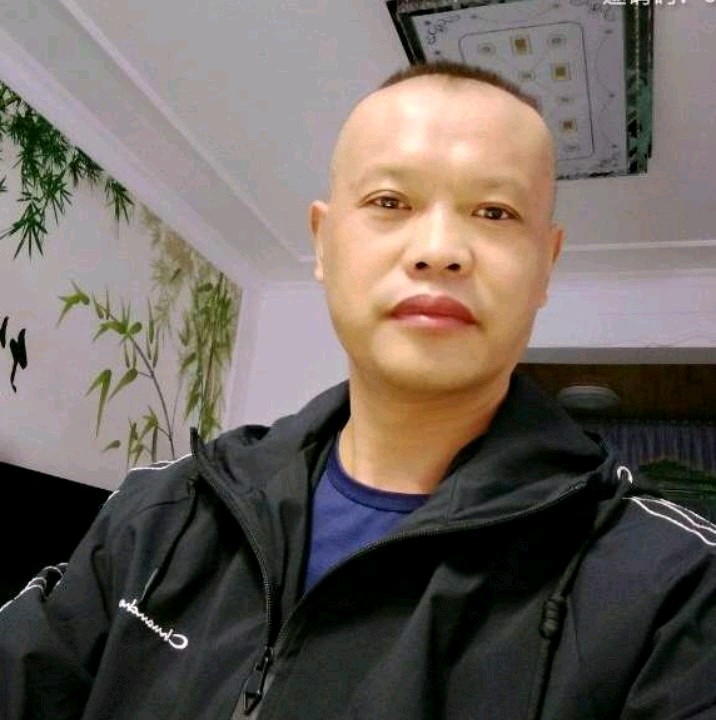 雪白蹁跹剪影的照片
