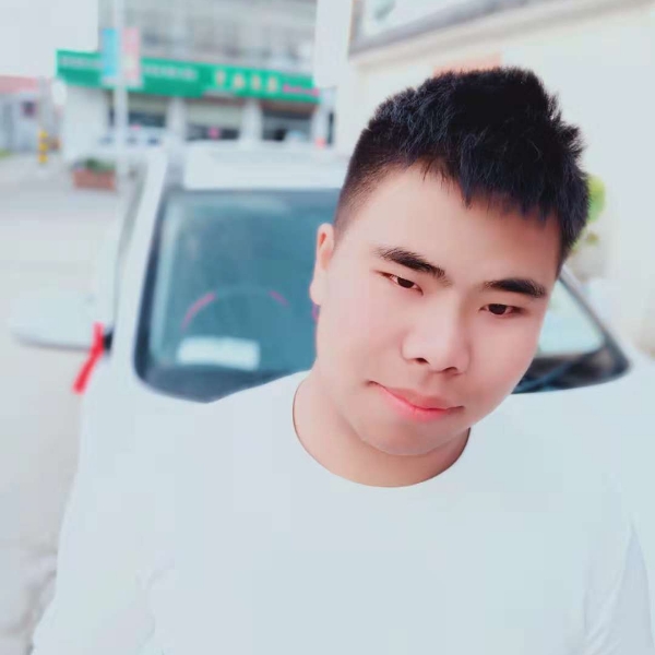 友好红玫瑰的照片