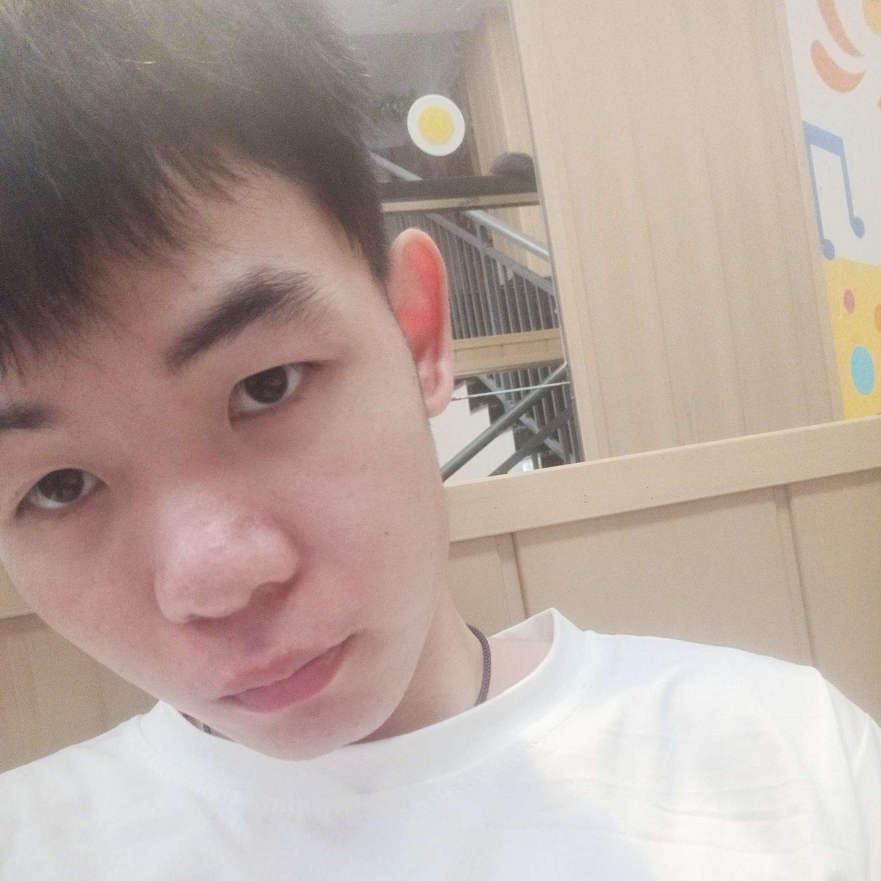 迷人等待刺猬的照片