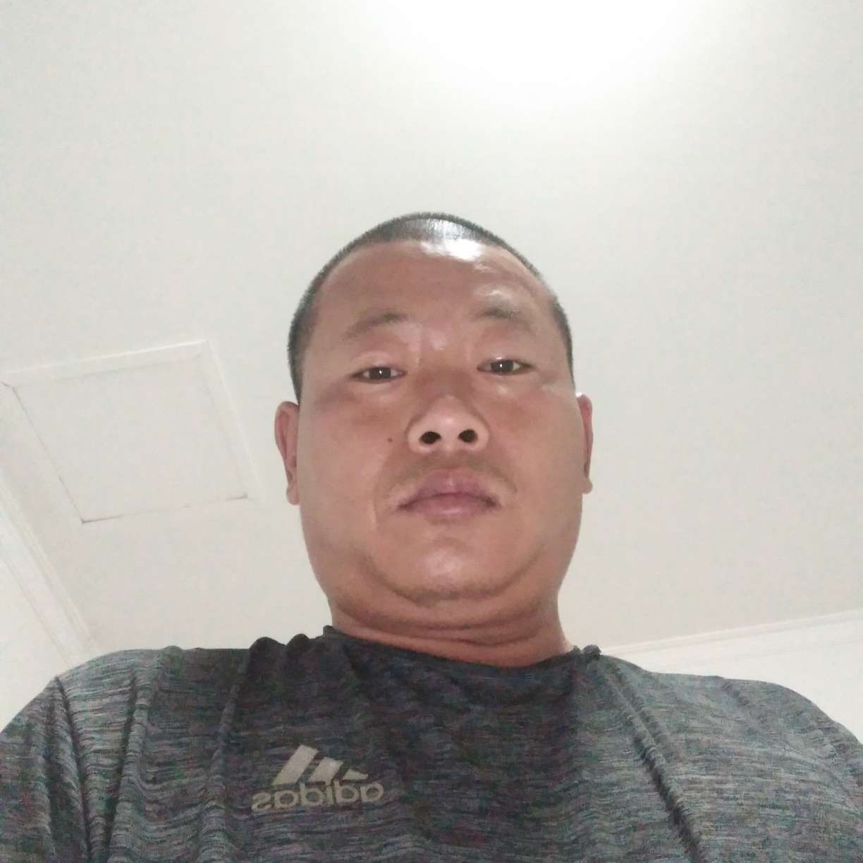 独特还翅膀的照片