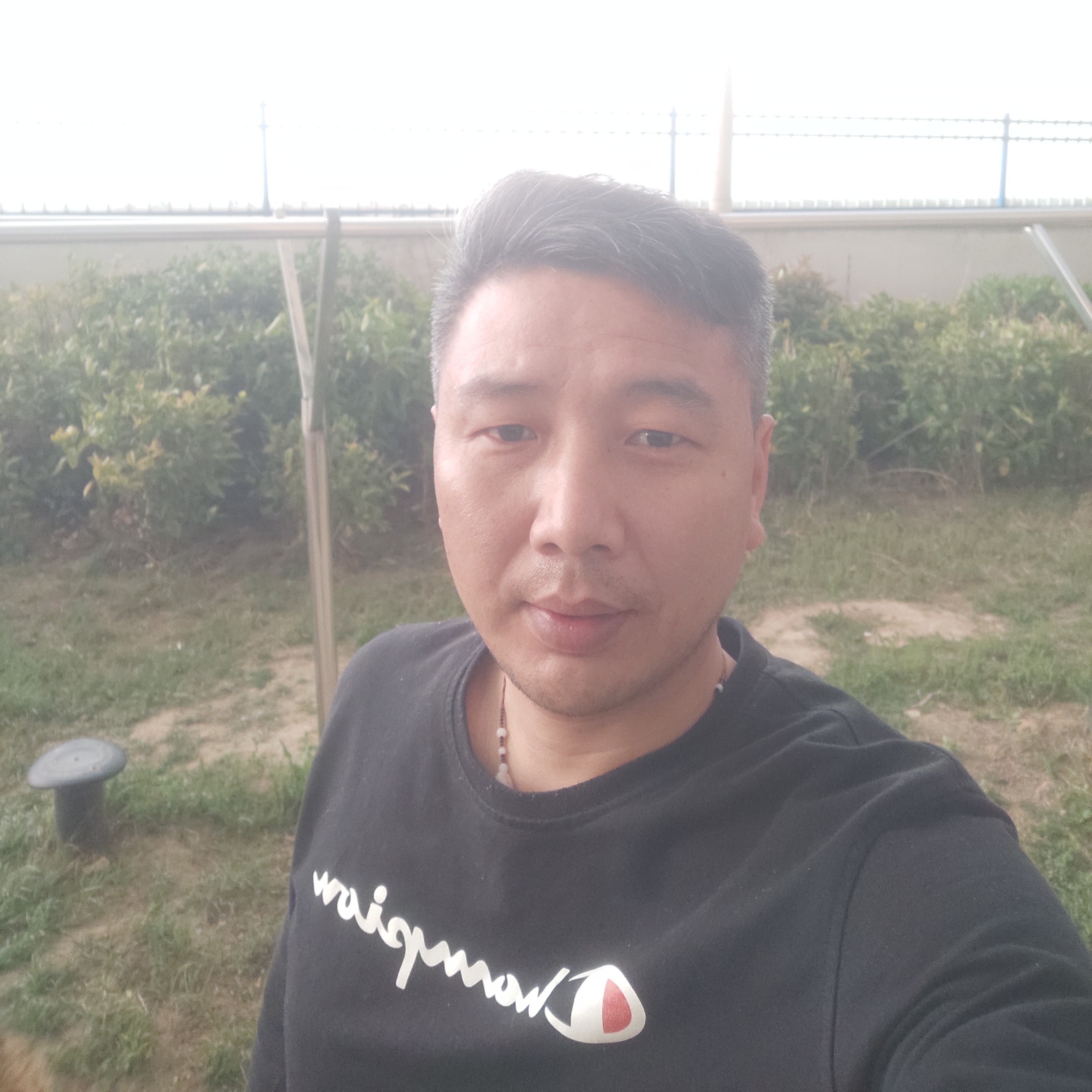 灼热等于思恋的照片