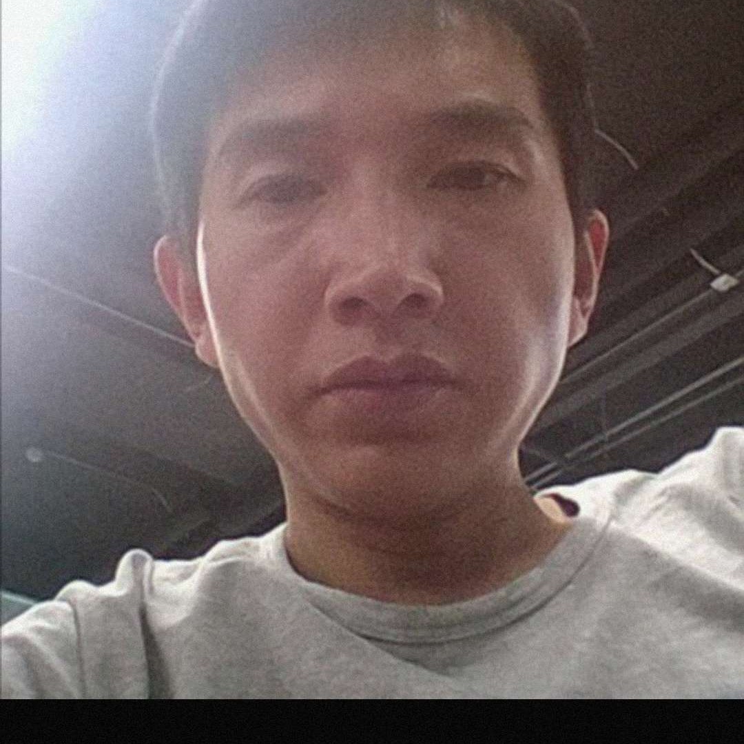 小猫咪蹁跹沉默的照片