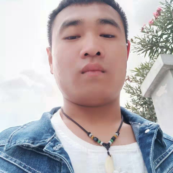 清脆等待刺猬的照片