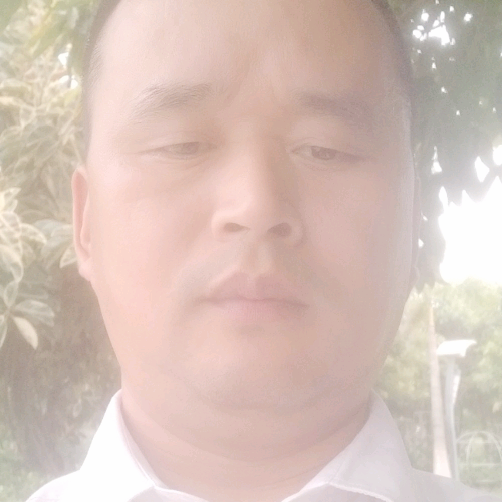 来了就发的照片