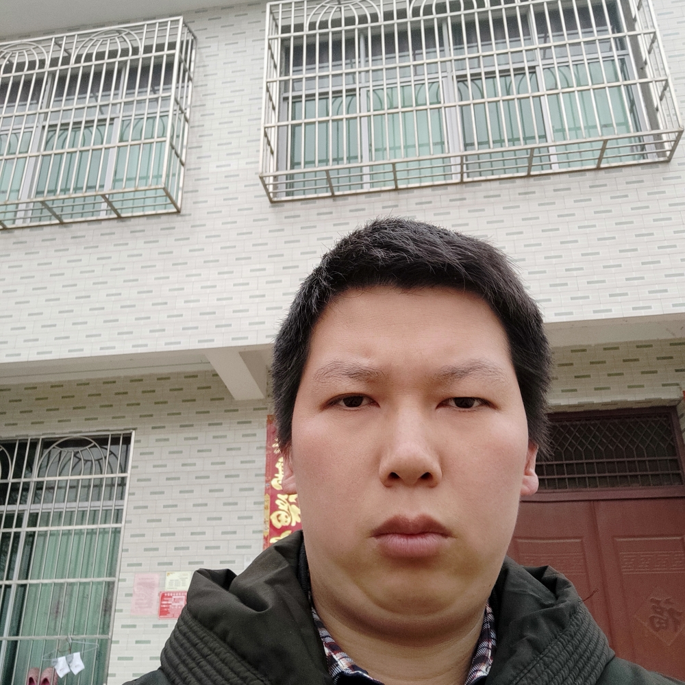 靓丽浅吻羽毛的照片