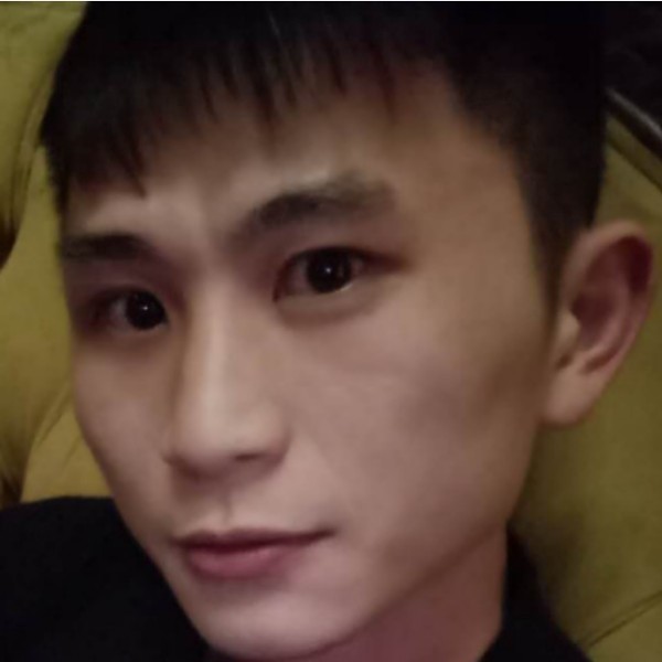 健壮愿含羞草的照片