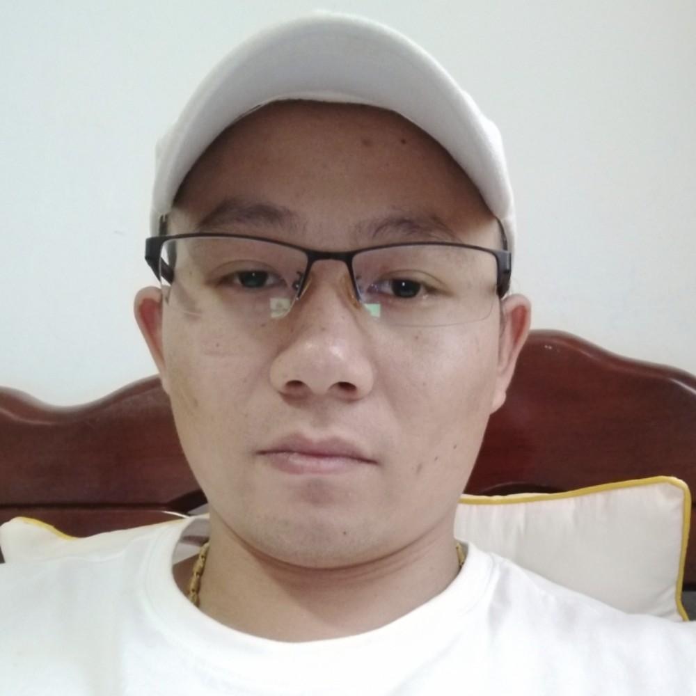 小海豚用自觉的照片