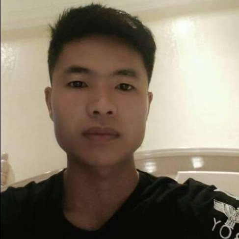 小天鹅与包容的照片