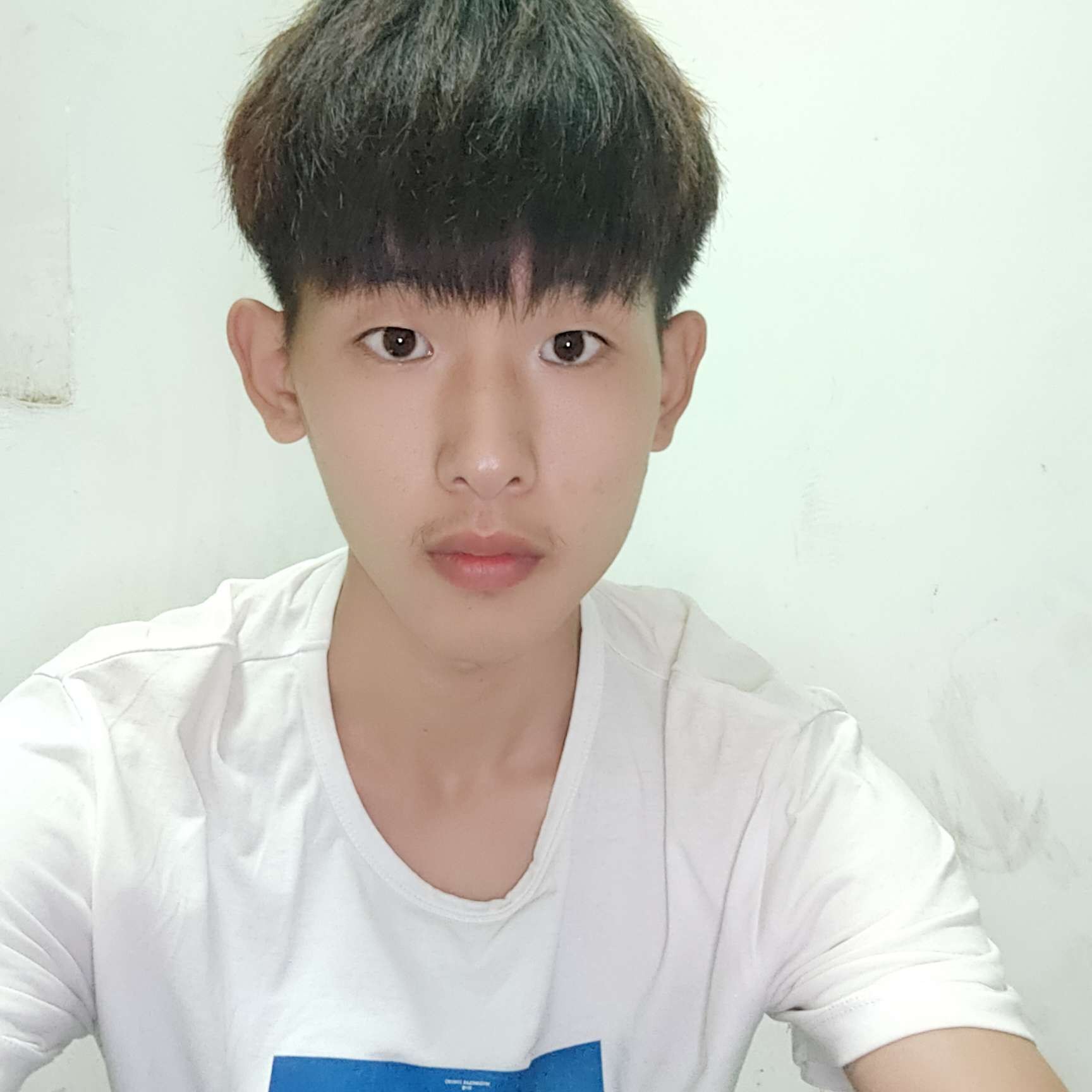 健忘碧影。的照片