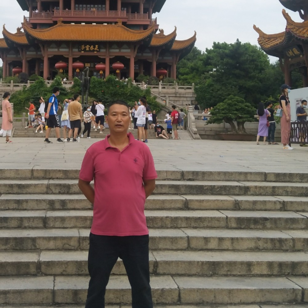 爱在迟迟的照片