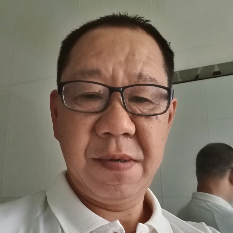 孝顺黄蜂的照片