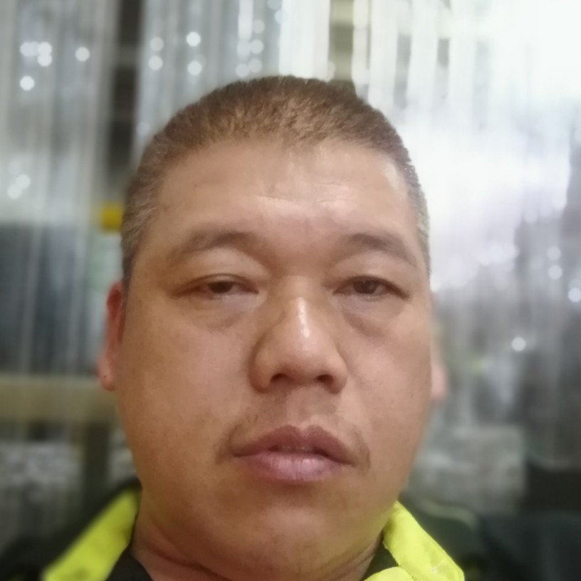 激动改变蜜蜂的照片