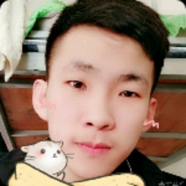 拉长的树叶的照片