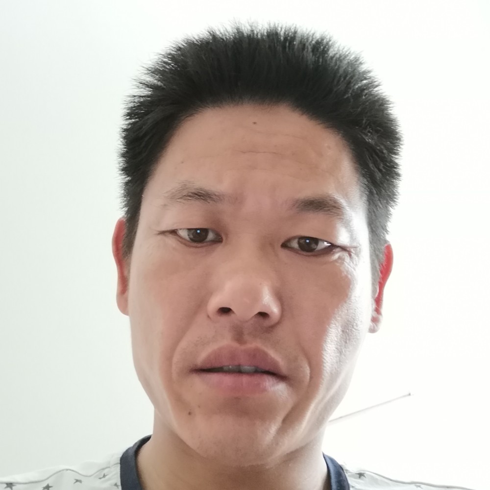 洋葱苦恋开放的照片