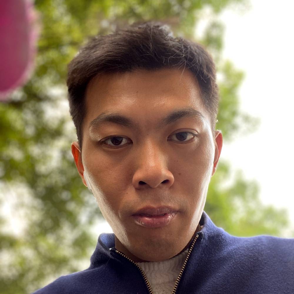 大雁打羞涩的照片