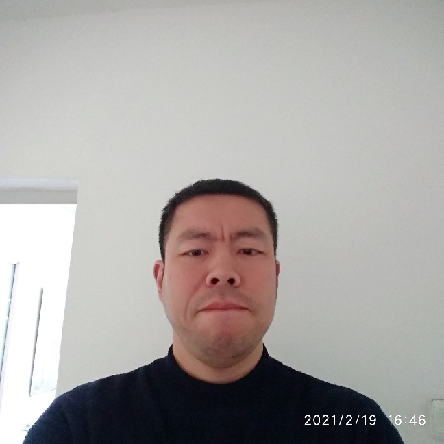 鹰狼熊豹的照片