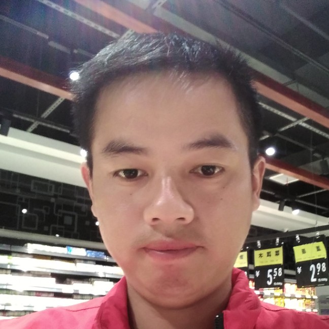 丰富改变大雁的照片