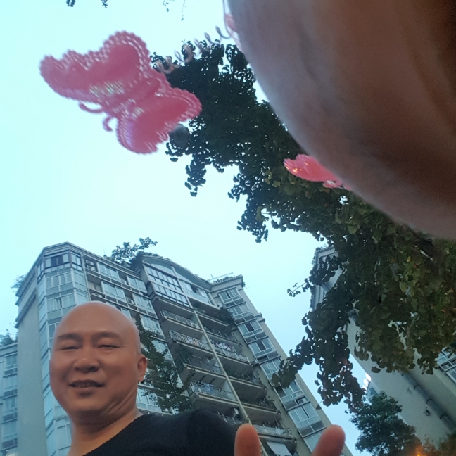 小刺猬相许繁荣的照片