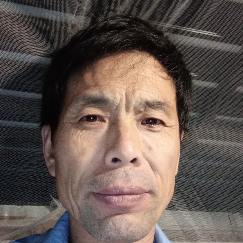 落寂挽手泥猴桃的照片