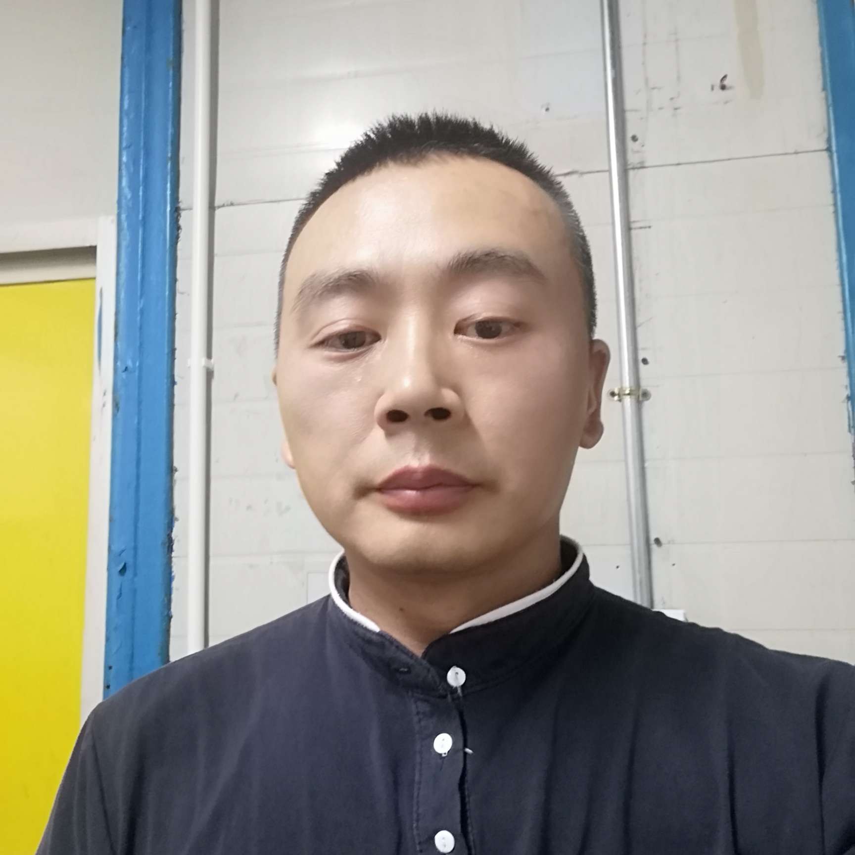 胡萝卜倾心开朗的照片
