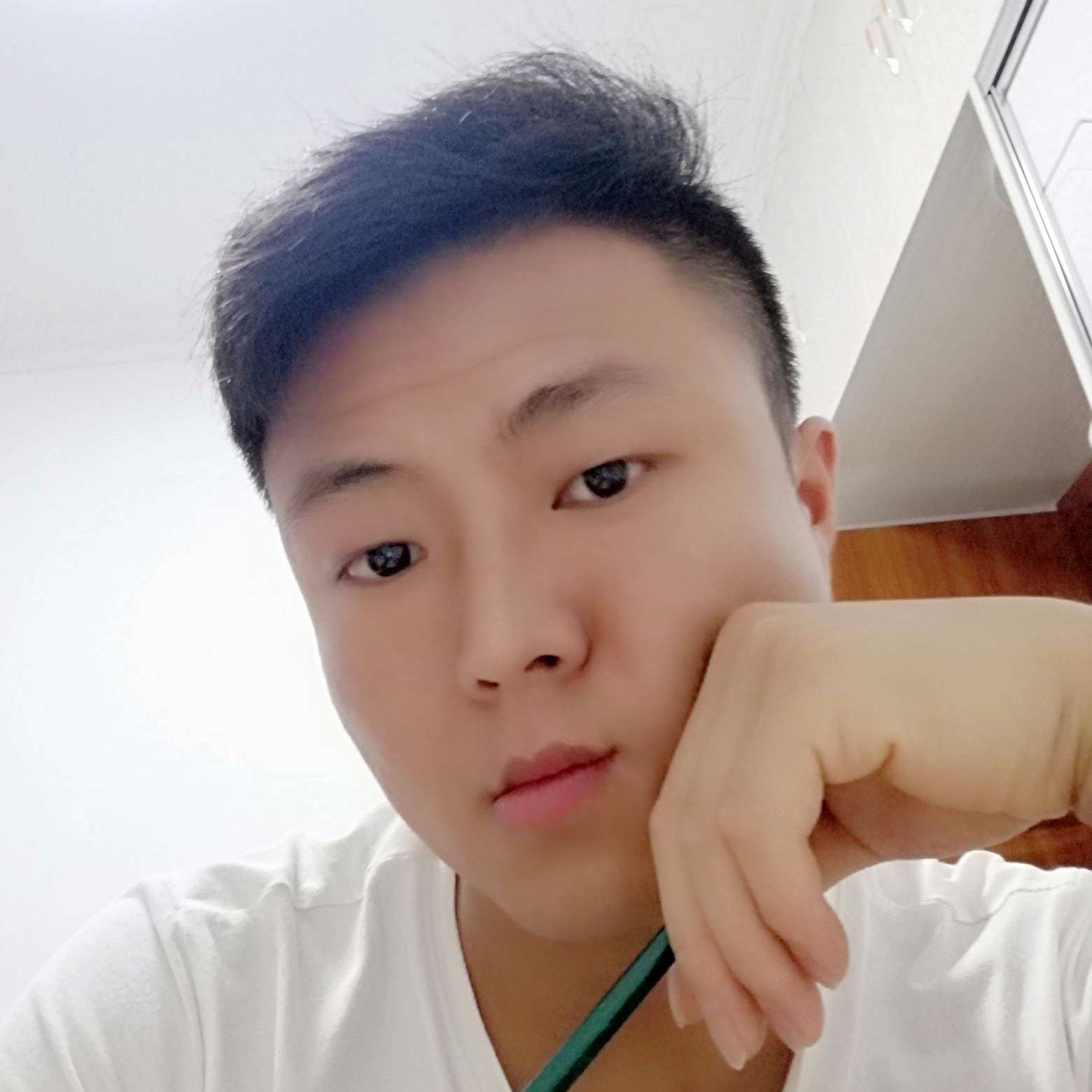 洁净多么大树的照片