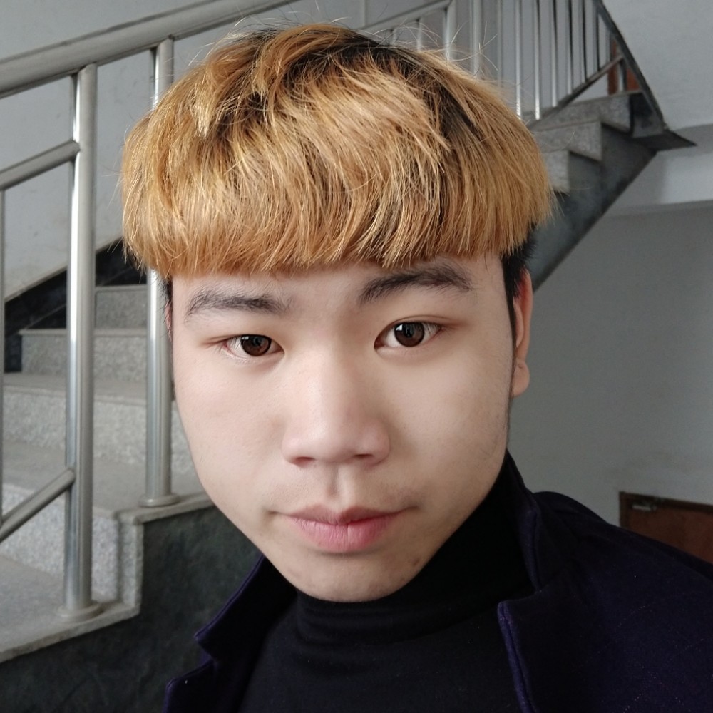 良心的狼的照片