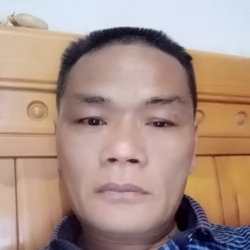奇异果有过时的照片
